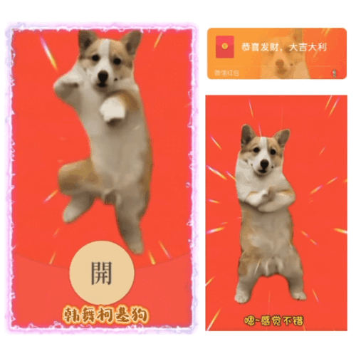 1156d455dc34.gif