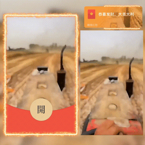 e57af2ae355b.gif